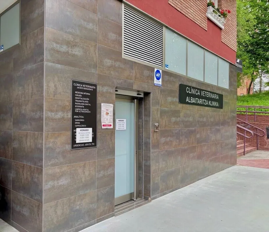 exterior clinica veterinaria en vitoria jacinto benavente