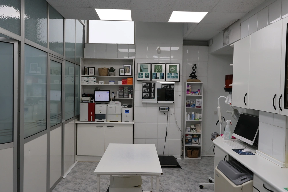 laboratorio propio para analisis veterinarios en vitoria