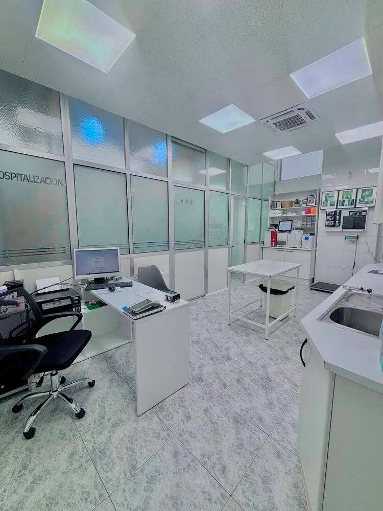 servicios veterinarios en vitoria